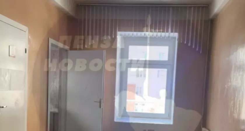 В Пензе в школьном туалете засняли на видео бегающего таракана