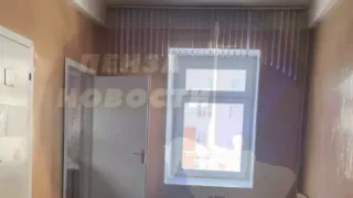 В Пензе в школьном туалете засняли на видео бегающего таракана