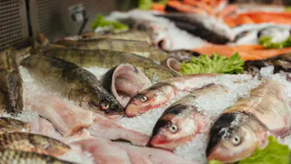 Региональный Роспотребнадзор выявил нарушения в рыбной продукции за первое полугодие