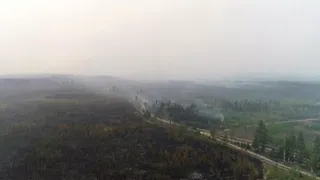Малков рассказал о сохранении ещё одного очага лесных пожаров из-за сильных ветров