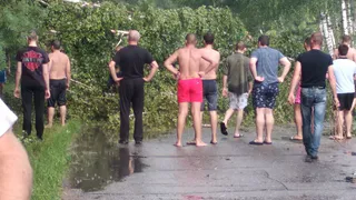 В Рязанском районе ураган повалил деревья на проезжую часть