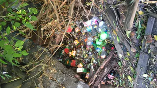 Туристическая привлекательность: Рязанский кремль украшает огромная куча мусора