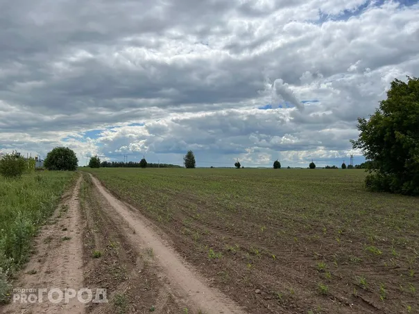 Семьи в одном из районов Коми не могут построить дома из-за плохой дороги