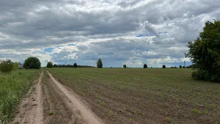 Семьи в одном из районов Коми не могут построить дома из-за плохой дороги