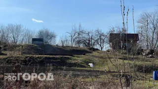 Черемуховые заморозки обрушатся на Россию и покосят урожай: как спастись от этой беды