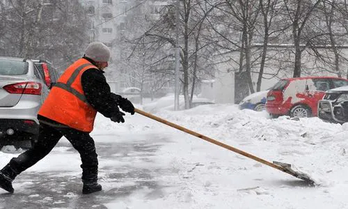 ЖКХ: где взять дворников?