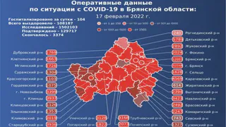 От коронавируса в Брянской области умерли еще девять человек