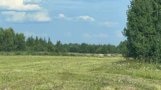 Погода в Чувашии на это воскресенье