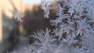 Синоптики сообщили о «январских» морозах в Центральной России