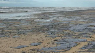 Ужасные кадры: пляжи Анапы покрылись мазутным месивом - экологическая катастрофа 