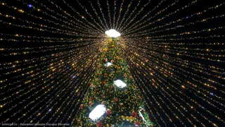 В Рязани подключают гирлянды к новогодним елям