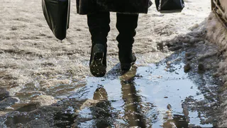 В Рязанской области 22 февраля потеплеет до 5 градусов