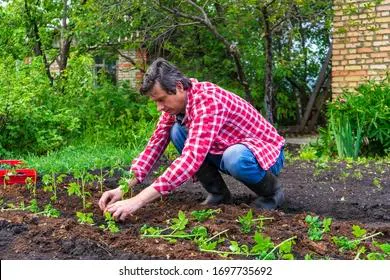 Битва за урожай начинается весной