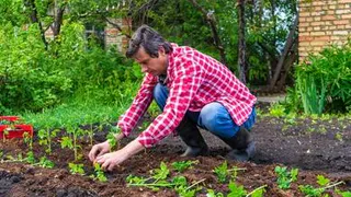 Битва за урожай начинается весной