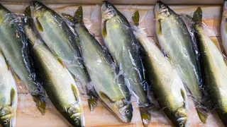 До чего же вкусно. Такую рыбу хочется готовить и есть снова и снова, самый вкусный и простой рецепт