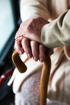 Могут ли бабушки и дедушки быть «токсичными»