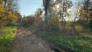 В Рязани родители продолжают поиски «альтернативного» маршрута с ул. Боголюбова для своих детей