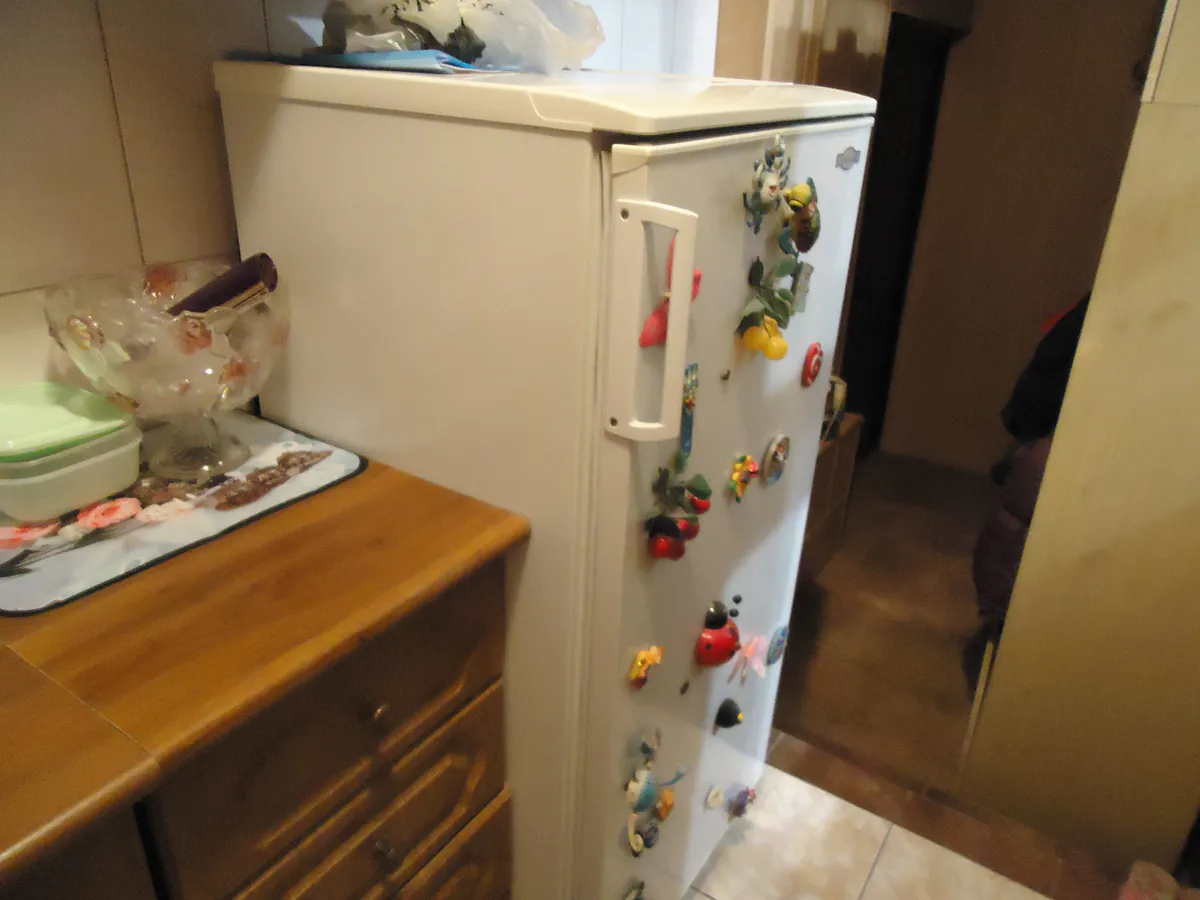 С 1 мая запретят навсегда: штраф 3 тысячи для владельцев квартир с холодильником