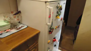 С 1 мая запретят навсегда: штраф 3 тысячи для владельцев квартир с холодильником