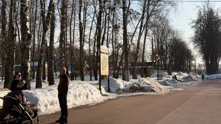 Слова Шукшина сегодня звучат особенно громко — и неожиданно точно бьют в самую суть: открывают глаза на современность