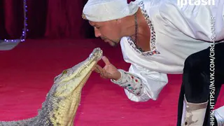 Обман не удался: администрация Нижнекамска разоблачила обманщиков и отменила цирковое представление