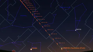 Жители Рязани смогут увидеть ярчайшую комету вместе со всем миром 