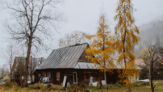 Правовые аспекты дарения земельного участка после развода