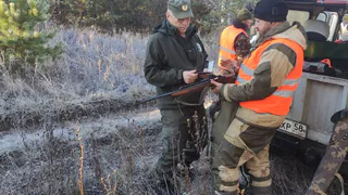 За минувшие выходные в Сурском крае выявили два нарушения охотничьго законодательства