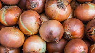 Хотите лук-богатырь? Секрет подкормки для скромных грядок!