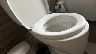 Выходя из дома, кладу лавровый лист в унитаз – и не на радуюсь: совет опытной домохозяйки