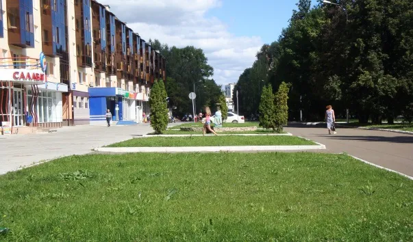 Нижнекамцы просят сделать дороги и найти управу на водителей