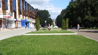 Нижнекамцы просят сделать дороги и найти управу на водителей