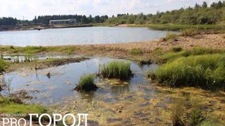 Жители Сыктывкара не хотят, чтобы у них “отобрали” лес и озеро