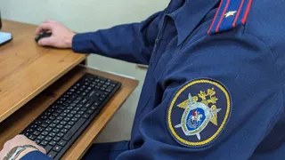 Во Владимирской области проводят проверку по факту нарушения прав ребёнка-инвалида