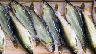 Эта рыба просто кишит паразитами: мы ее подаем на стол и даем детям. В ней находят 10-метровых червей