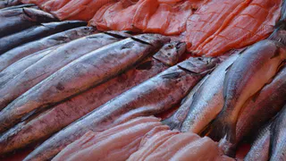 Была названа самая полезная рыба - ешьте 2 раза в неделю, богата селеном, фосфором и хороша на вкус