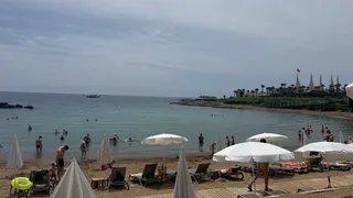 "Купаться невозможно, все сидят на берегу": Черное море преподнесло ужасный сюрприз отдыхающим