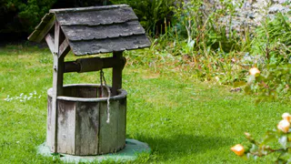 В Татарстане предлагают разрешить садоводам пользоваться водой без штрафов до 2022 года