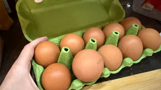 Какие яйца покупать в магазине — белые или коричневые: многие до сих пор выбирают неправильно