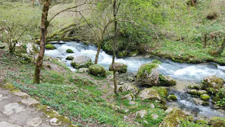«Злые люди, змеи, грязь и невкусная еда»: россияне делятся своим разочарованием от визита в Абхазию – честный отзыв