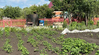 Мартовская аномальная жара изменит сроки урожая: когда лучше сажать помидоры и картошку - список точных дат 