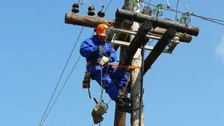 Шесть районов Брянской области остались без света из-за урагана