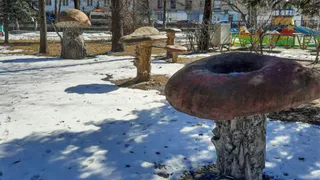 Парк «Юность» в Брянске отремонтируют впервые за 40 лет