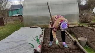 Ни единой бляшки даже в старости: стал известен наилучший летний овощ для снижения холестерина — легко вырастить на грядках