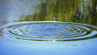 «Сердце у него больное было»: в Бежице утонул 33-летний мужчина