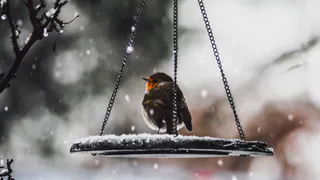 В Рождественскую ночь в Рязань придут заморозки