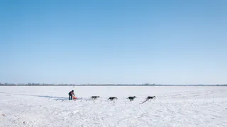 С Крайнего Севера Коми уедут люди
