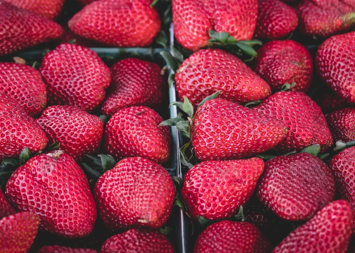 Сосед запретил мне сажать рядом с клубникой эти растения − и дело пошло как по маслу: теперь собираю урожай ведрами