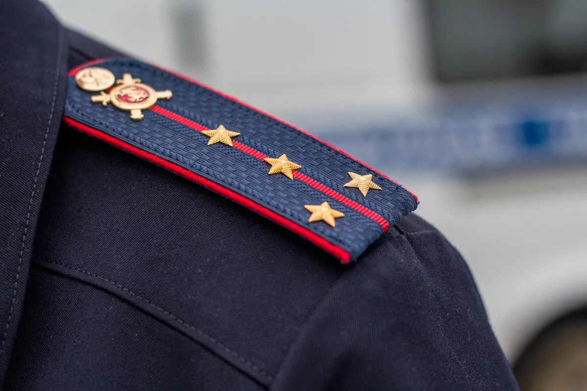 В Магнитогорске задержали сырного вора