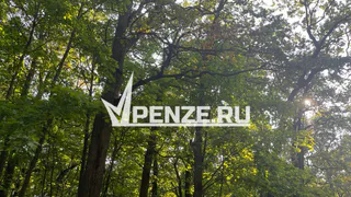 Спасатели пришли на помощь  заблудившемуся подростку в Бессоновском районе